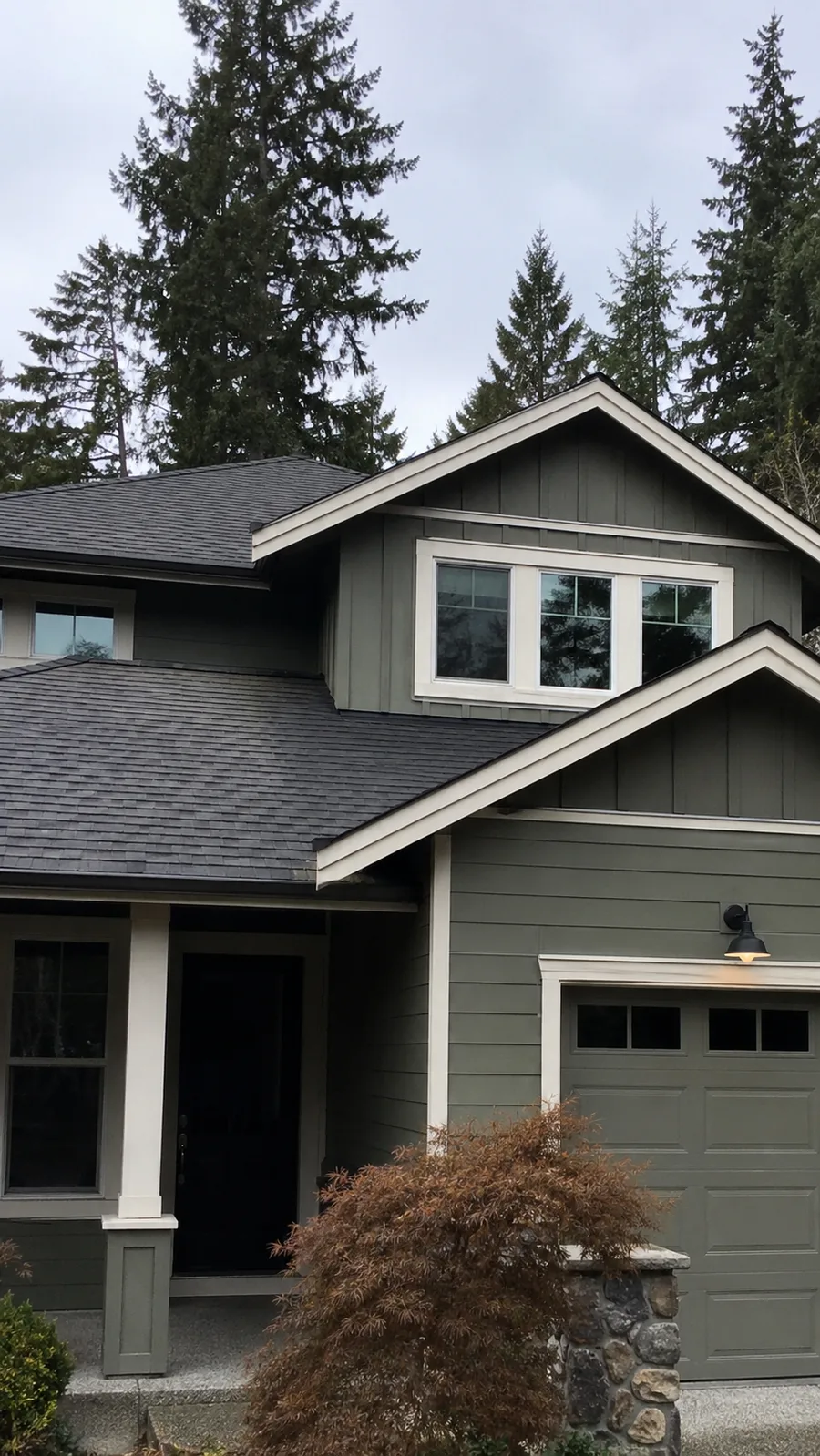 Freshly cleaned roof on a green Shawnigan Lake home