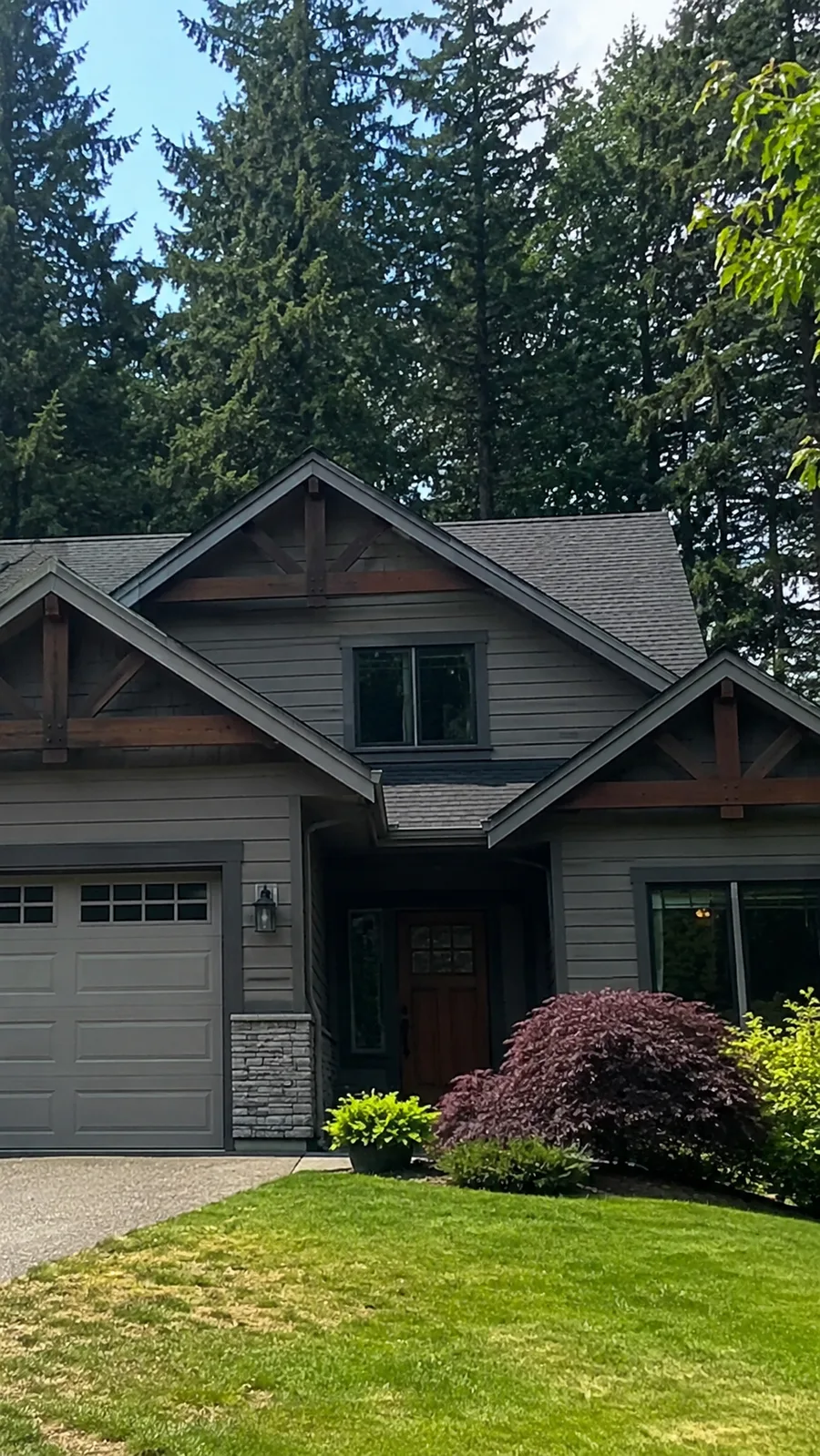 Clean residential roof framed by tall evergreens